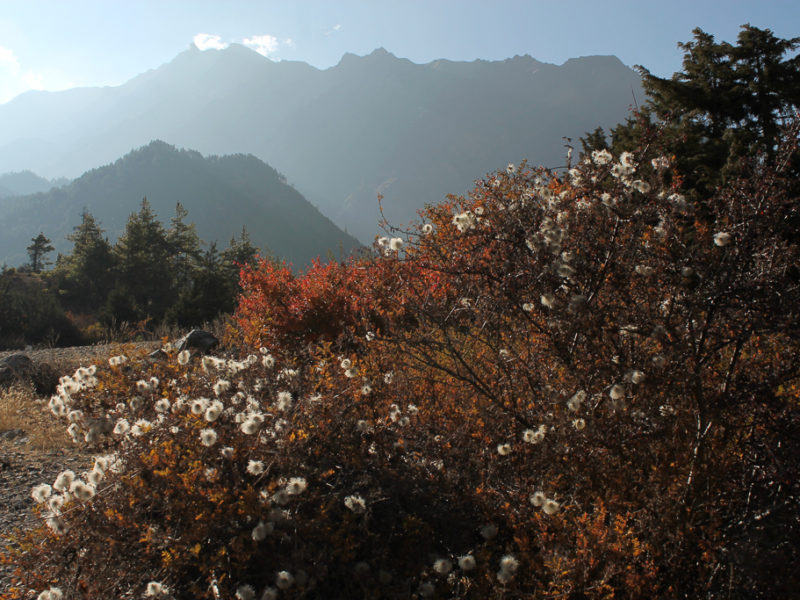 Annapurna Circuit Nepal Photographer Martin Zinggl-6