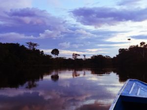Peruvian Amazon sunset