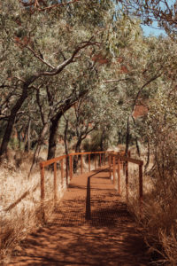 Observations of Uluru, Ayers Rock, Northern Territory, Australia by Hayli Nicole